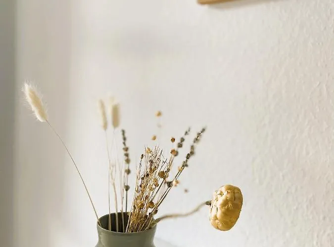 Ruhige 3 Gut Angebunden *